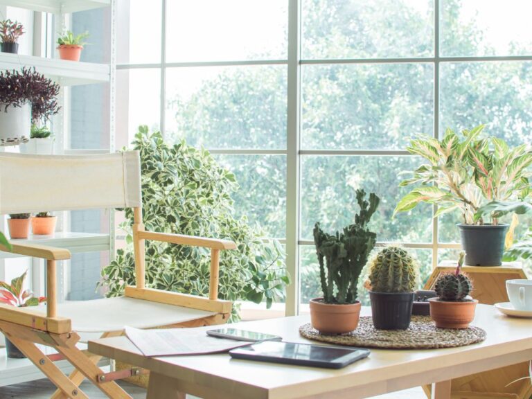 Tendências de decoração para apartamento 2024_25 incluem plantas