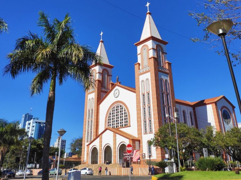 Igreja Católica Matriz de Chapecó, Santa Catarina, com arquitetura tradicional, palmeiras ao redor e céu azul ao fundo.