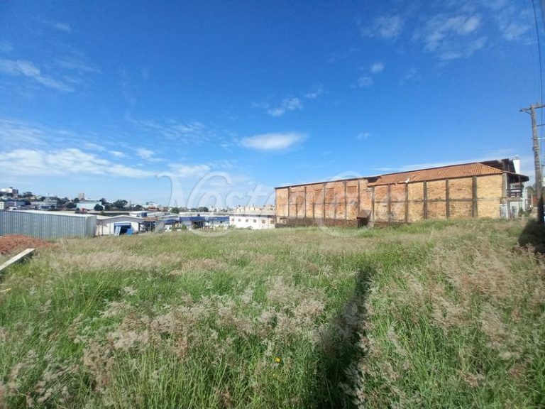 20220318_103613.JPG