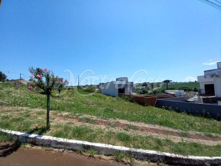 20240109_110314.JPG