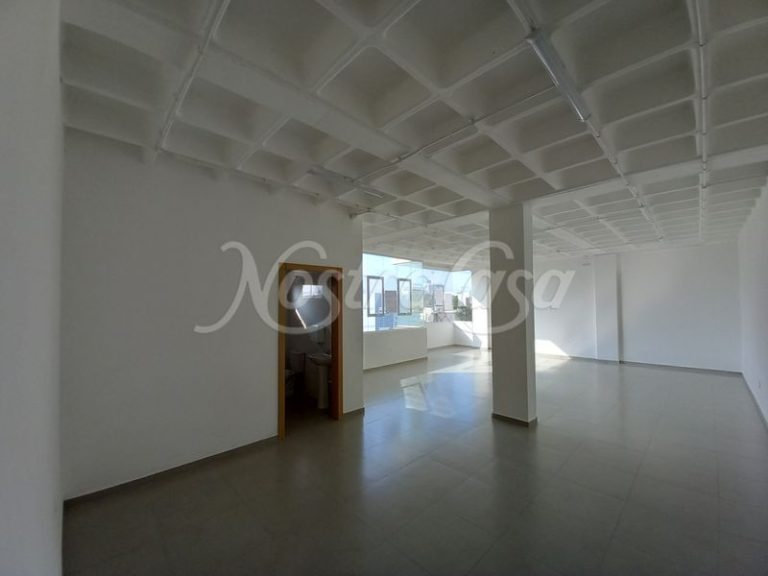 20230717_100930-MAGICSTUDIO-LB7JL1.JPG