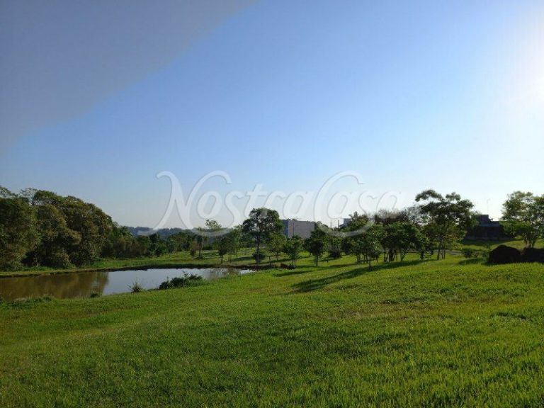 PHOTO1633712384