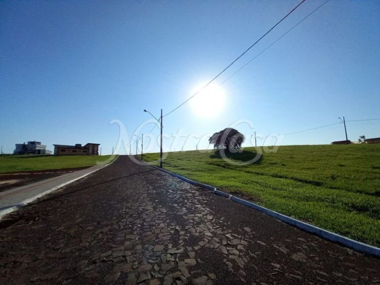 PHOTO1633712663 (1)