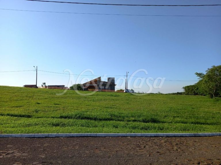 PHOTO1633712664 (2)