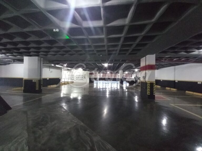 20220709_105041.JPG