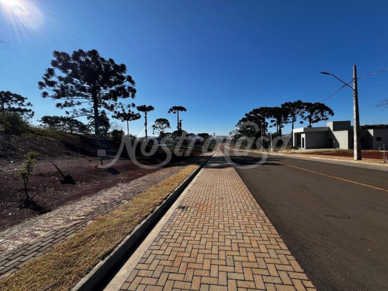 IMAGE 2025-07-10 AT 16.02.04 (2)_MAGIC