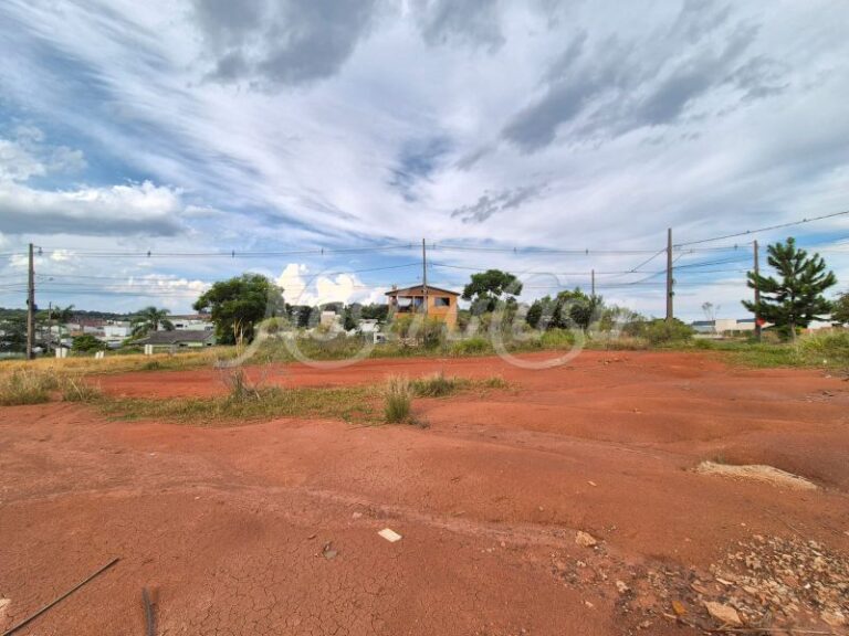 LOTE 3.1