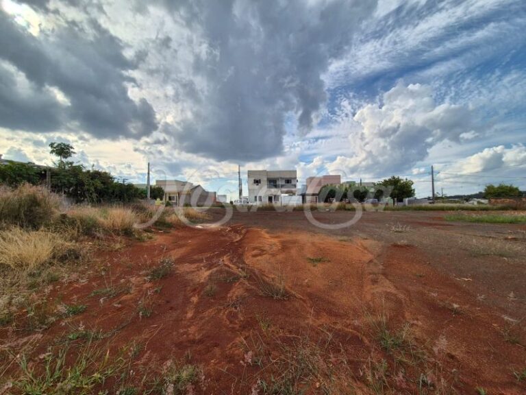 LOTE 23.1