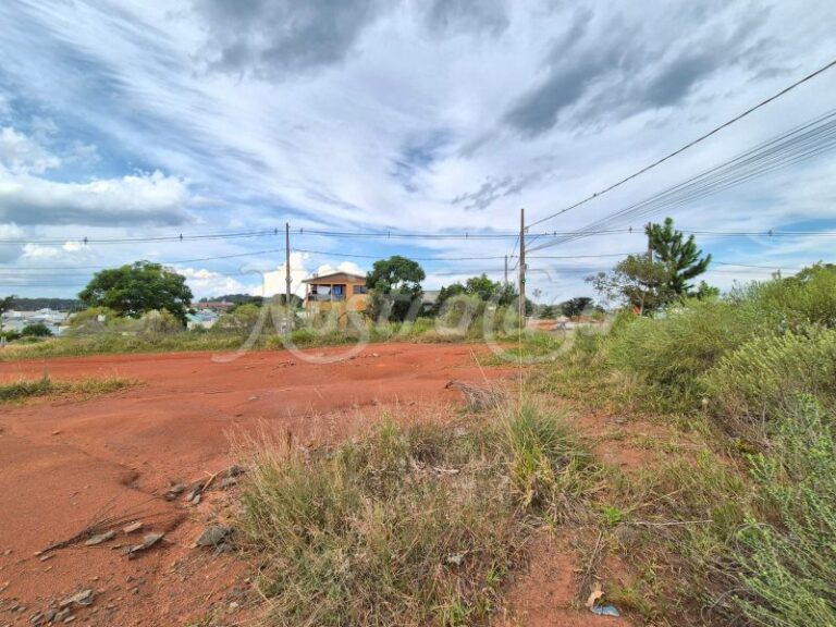 LOTE 4.1