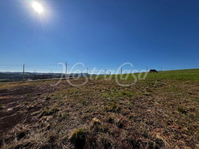 IMAGE 2025-07-21 AT 15.37 (15)