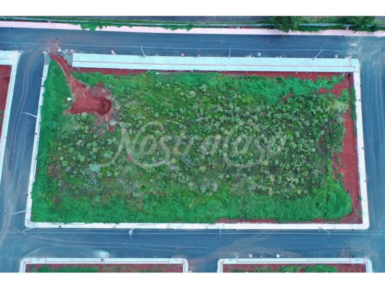 DJI_0929.JPG
