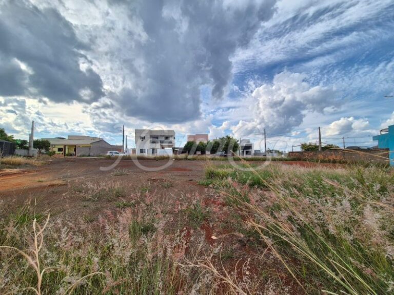 LOTE 24.1