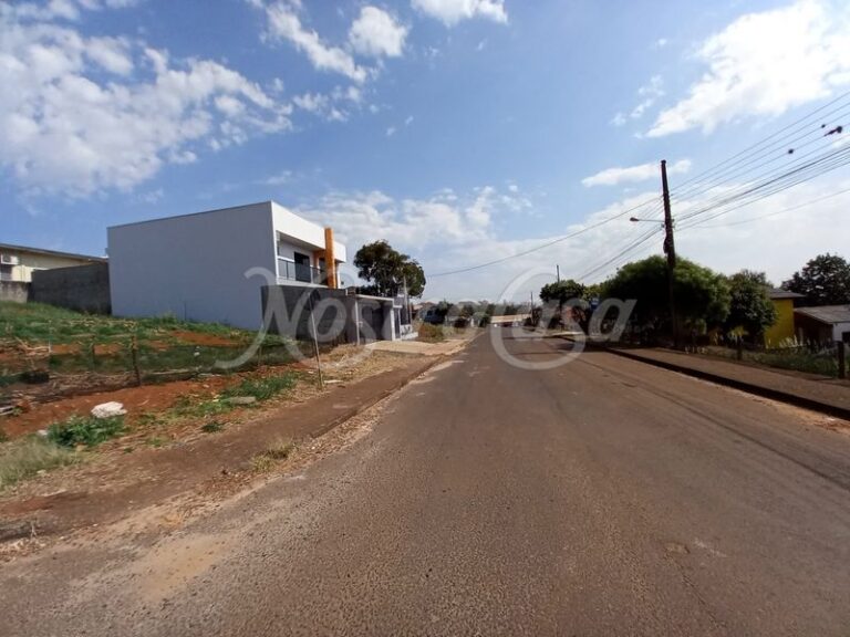 LOTE 13