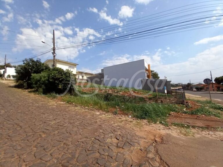 LOTE 13