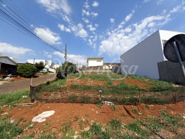 LOTE 13