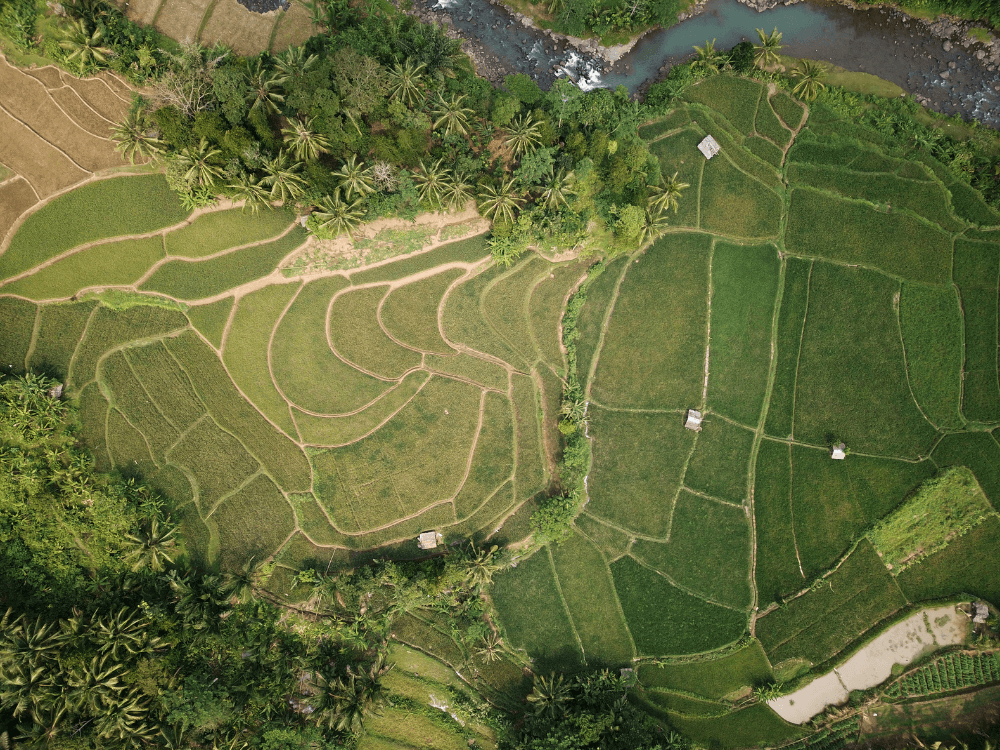 Vista aérea de áreas rurais divididas em diferentes terrenos, com vegetação, caminhos e rio ao redor, ilustrando a delimitação de propriedades.